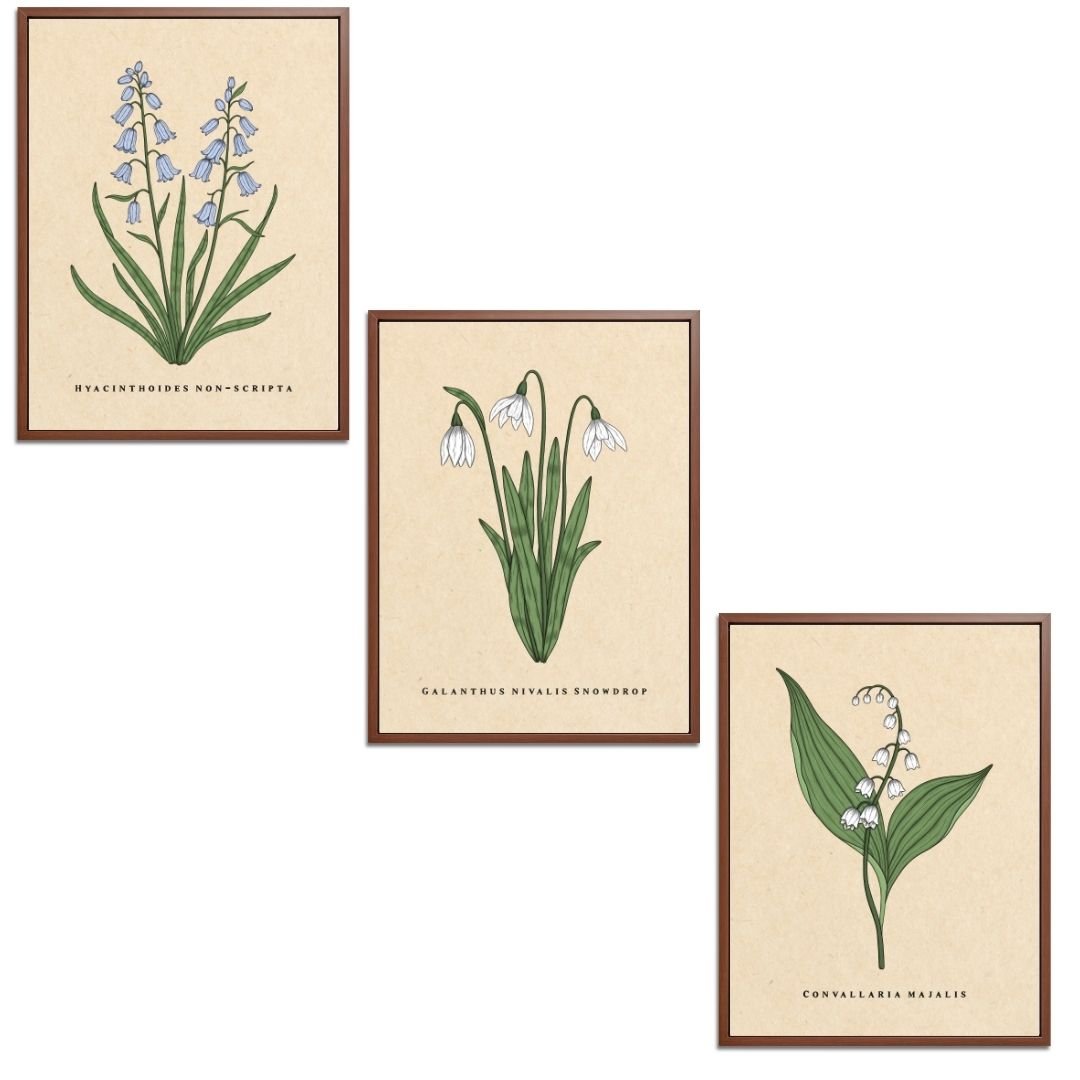 Spring Flowers Set Botanical Fine Art Print by H Potter
