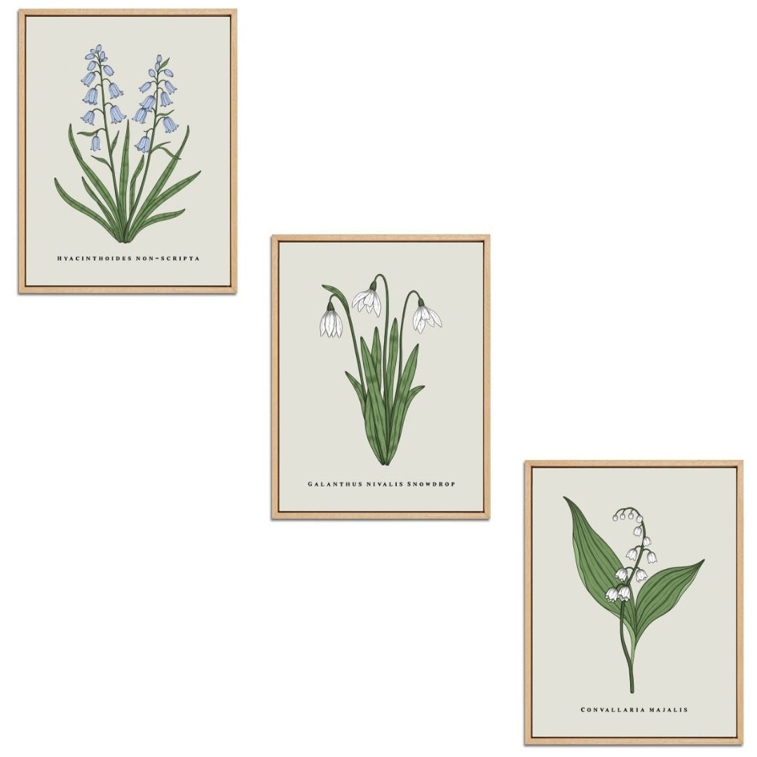 Spring Flowers Set Botanical Fine Art Print by H Potter