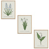 Spring Flowers Set Botanical Fine Art Print by H Potter