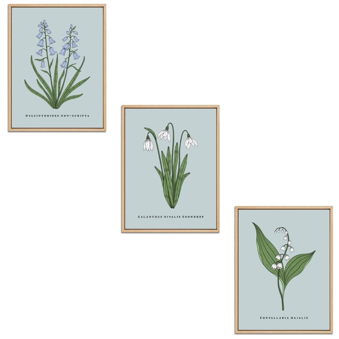 Spring Flowers Set Botanical Fine Art Print by H Potter
