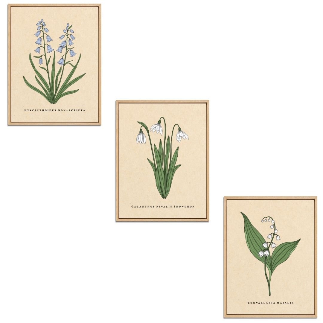 Spring Flowers Set Botanical Fine Art Print by H Potter