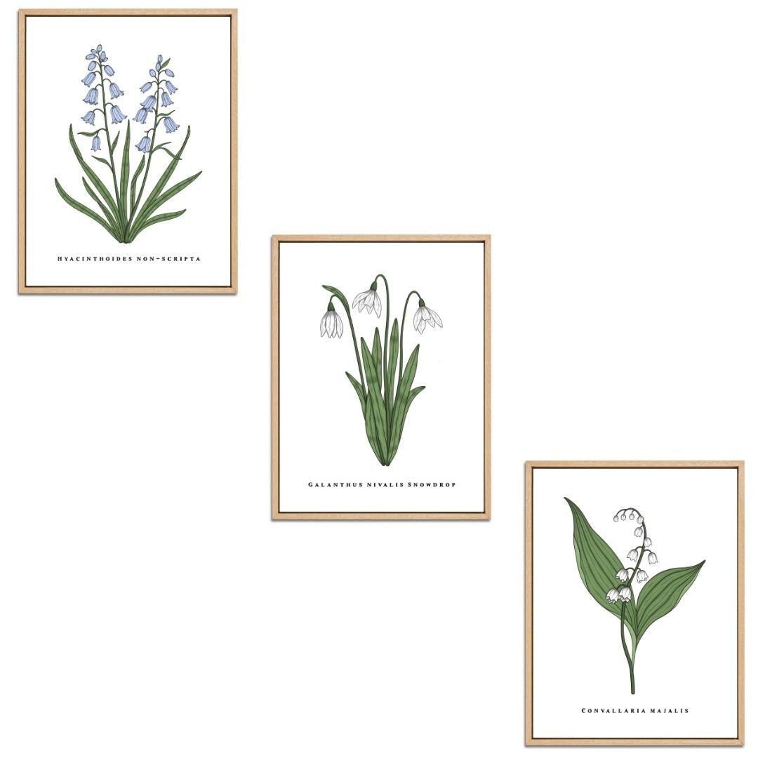 Spring Flowers Set Botanical Fine Art Print by H Potter