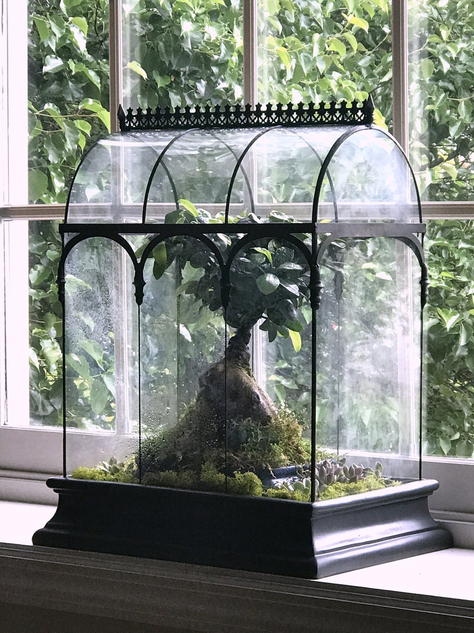 Glass plant terrarium