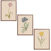 Whimsical Flowers Set Botanical Fine Art Print by H Potter