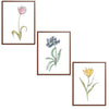 Whimsical Flowers Set Botanical Fine Art Print by H Potter