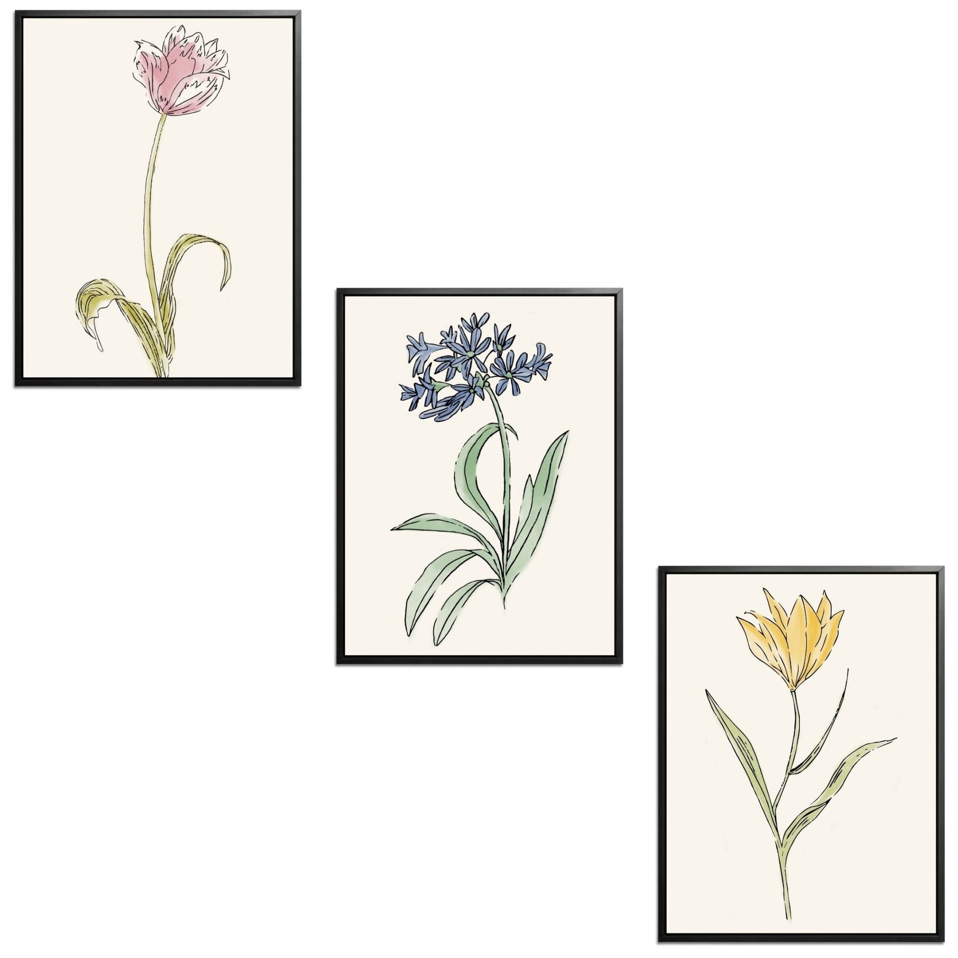 Whimsical Flowers Set Botanical Fine Art Print by H Potter