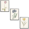 Whimsical Flowers Set Botanical Fine Art Print by H Potter