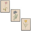 Whimsical Flowers Set Botanical Fine Art Print by H Potter