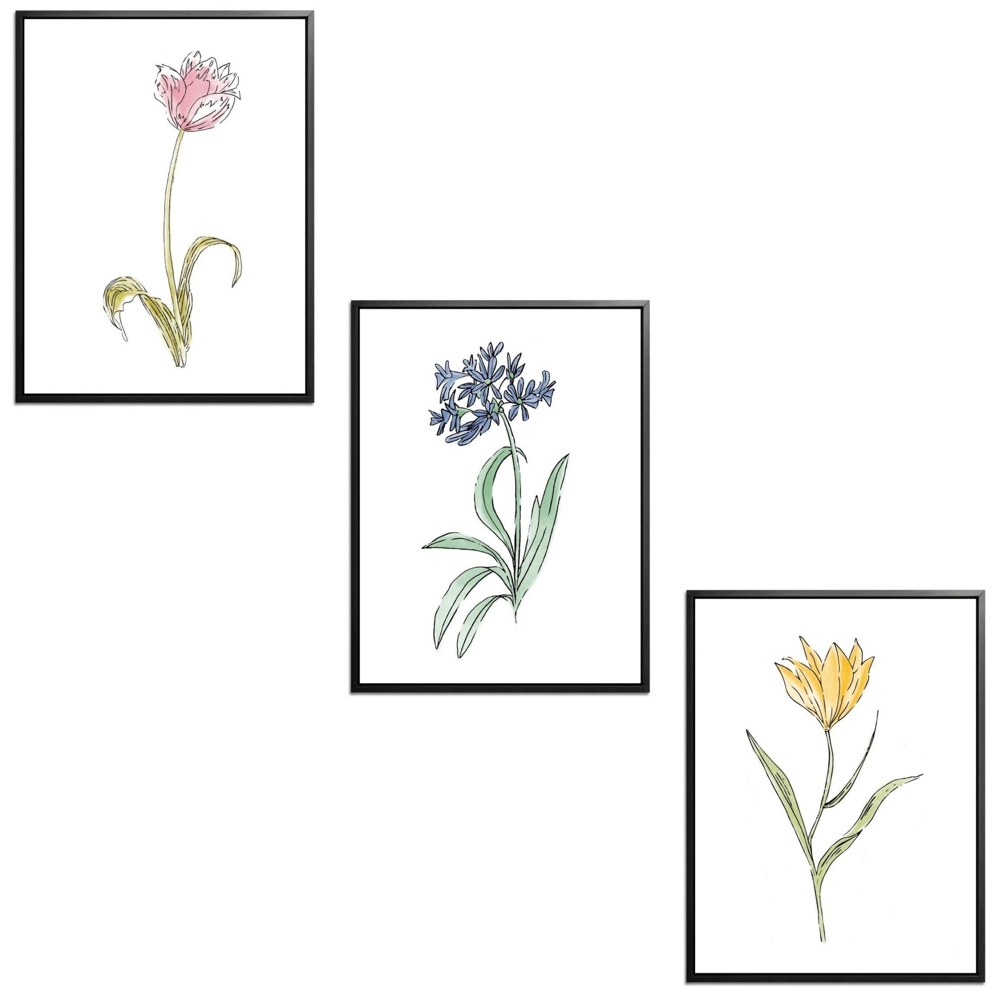 Whimsical Flowers Set Botanical Fine Art Print by H Potter