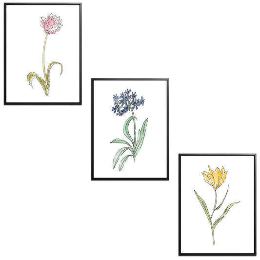 Whimsical Flowers Set Botanical Fine Art Print by H Potter