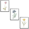 Whimsical Flowers Set Botanical Fine Art Print by H Potter