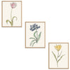 Whimsical Flowers Set Botanical Fine Art Print by H Potter