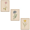 Whimsical Flowers Set Botanical Fine Art Print by H Potter