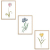 Whimsical Flowers Set Botanical Fine Art Print by H Potter