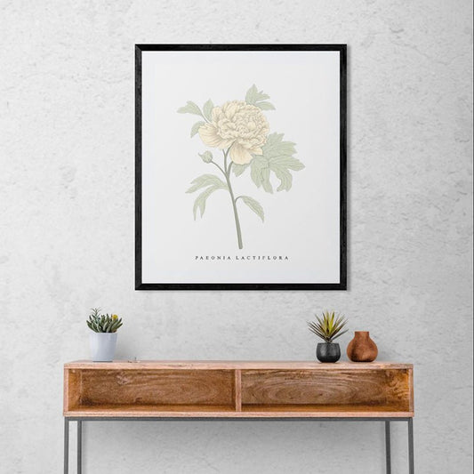 Peony Botanical Fine Art Print by H Potter Yellow