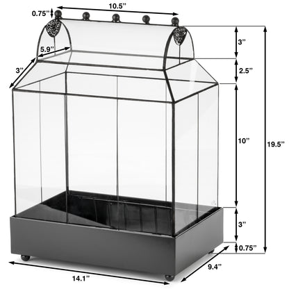 H Potter Terrarium Wardian Case Glass Plant Container