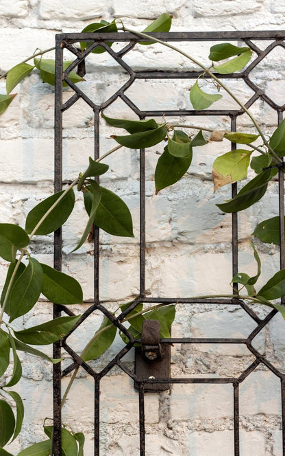 H Potter Diamond Wall Trellis with Wall Mounting Brackets