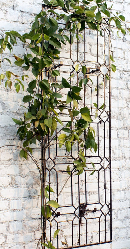 H Potter Diamond Wall Trellis with Wall Mounting Brackets