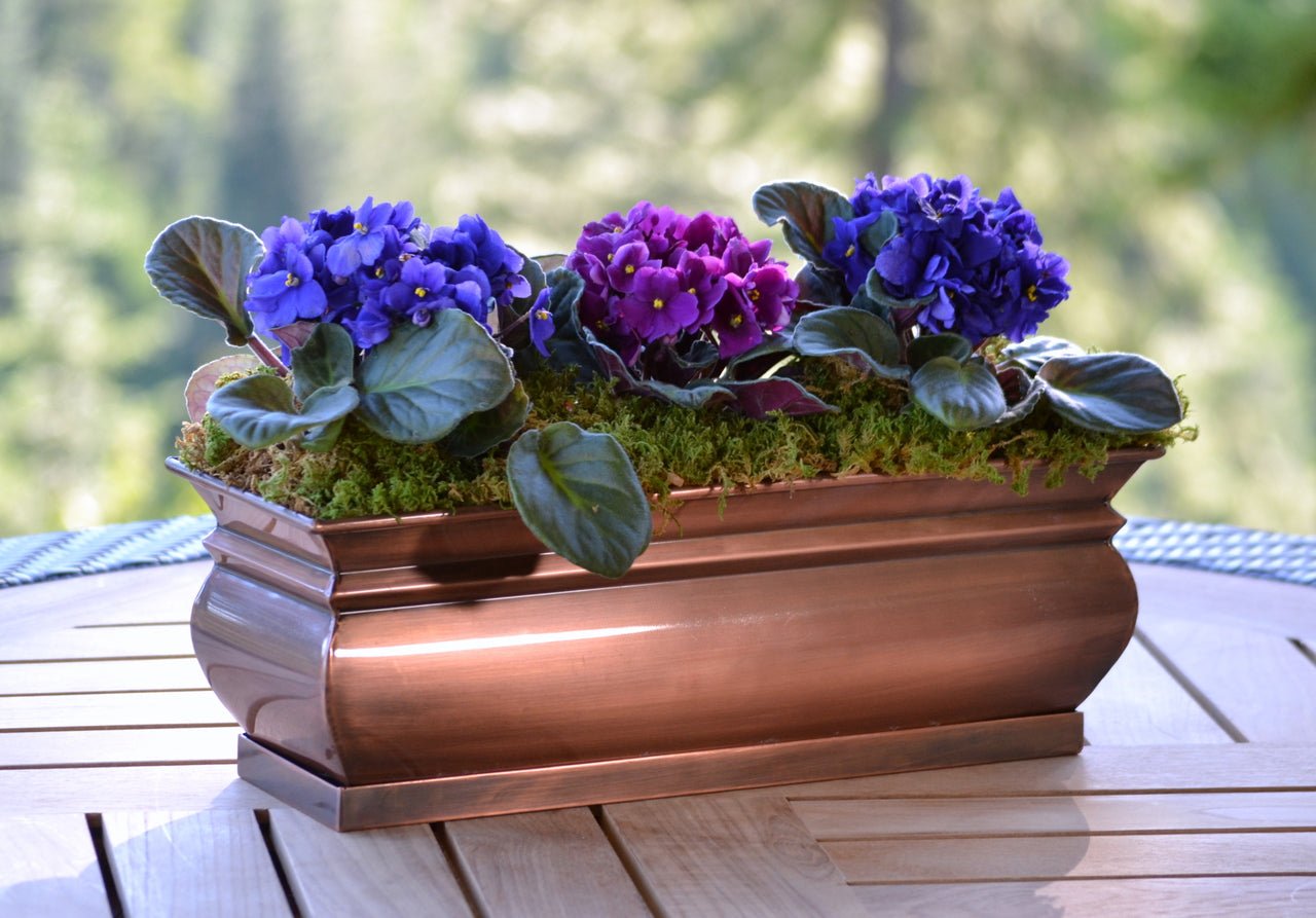 indoor window plant Window Box Style Flower Container by H Potter