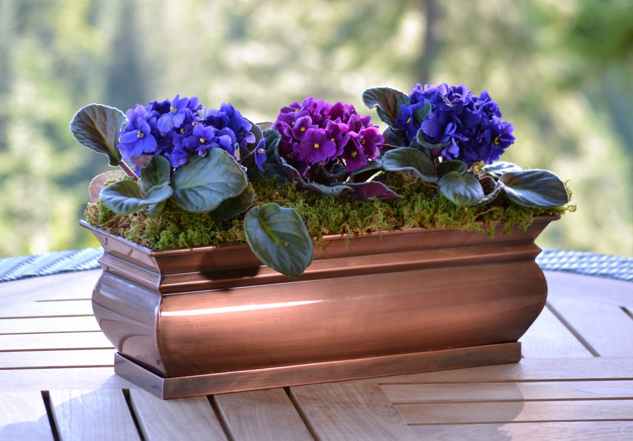 Garden Planters for Herbs Succulents Flowers