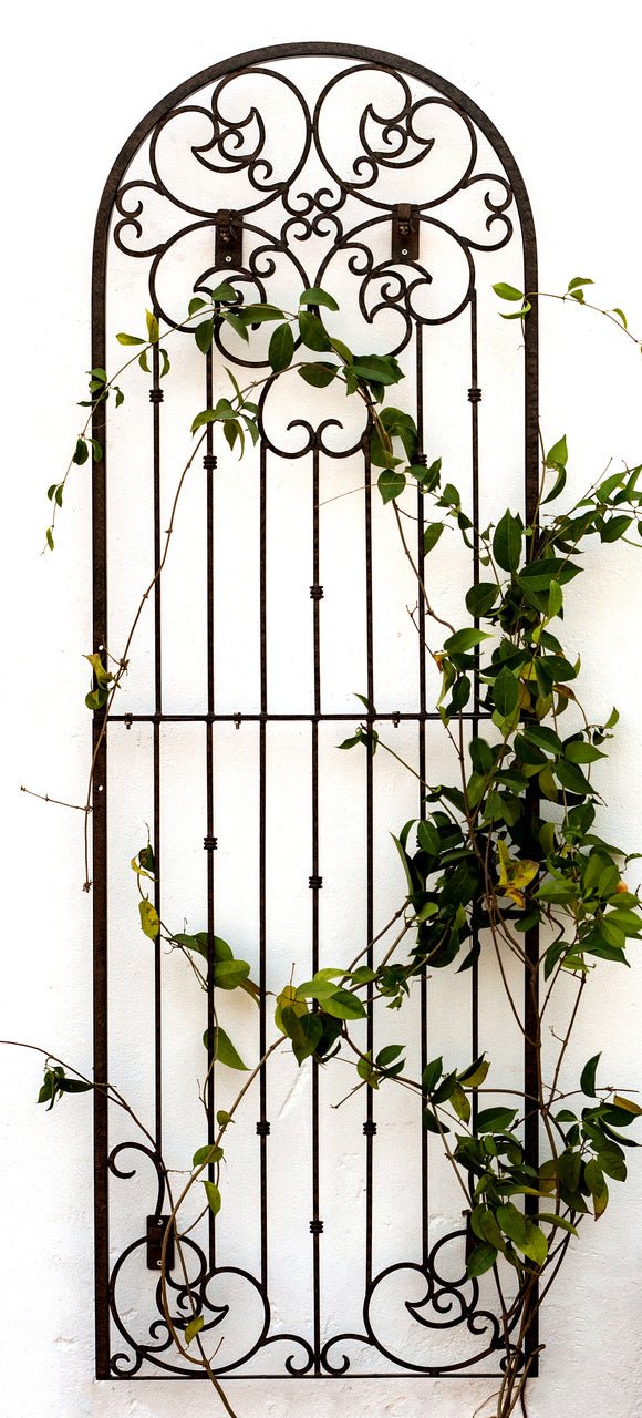 H Potter Wall Trellis 8 ft Wrought Iron Ornamental Metal with Wall Brackets