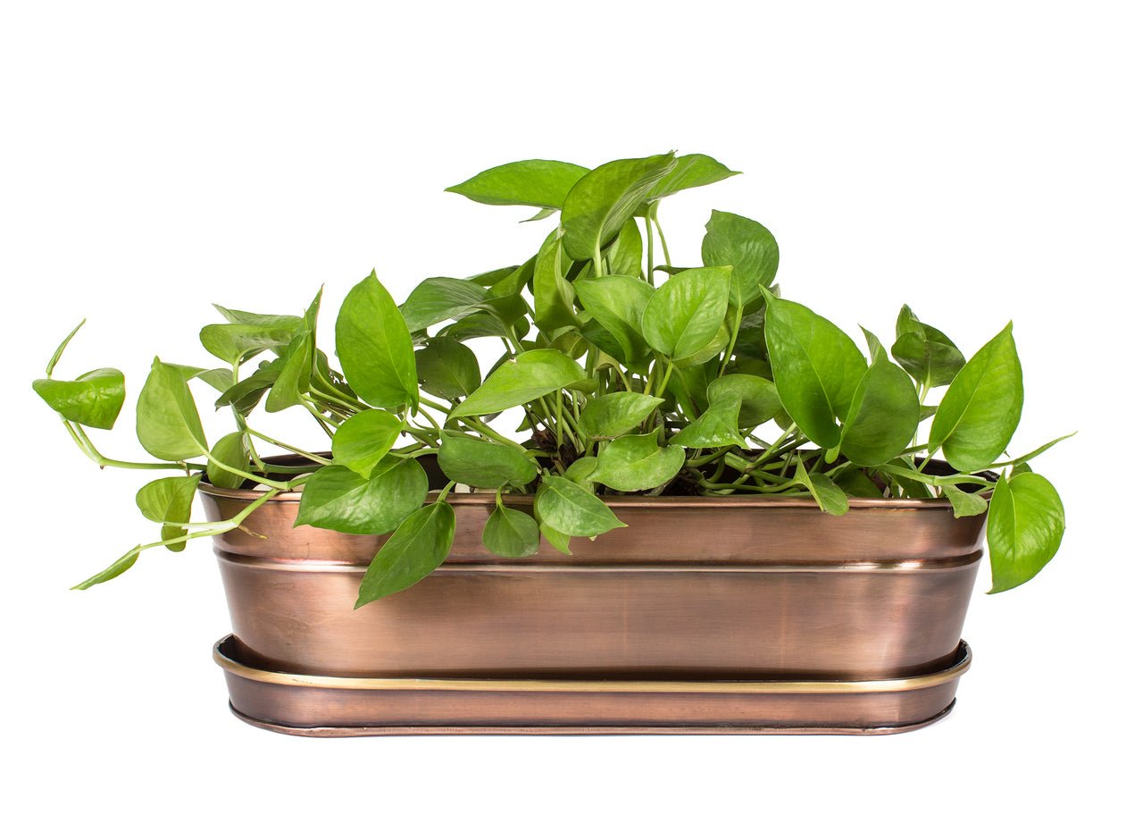 large oval plant pot Oval Planter Antique Copper and Brass | Centerpiece