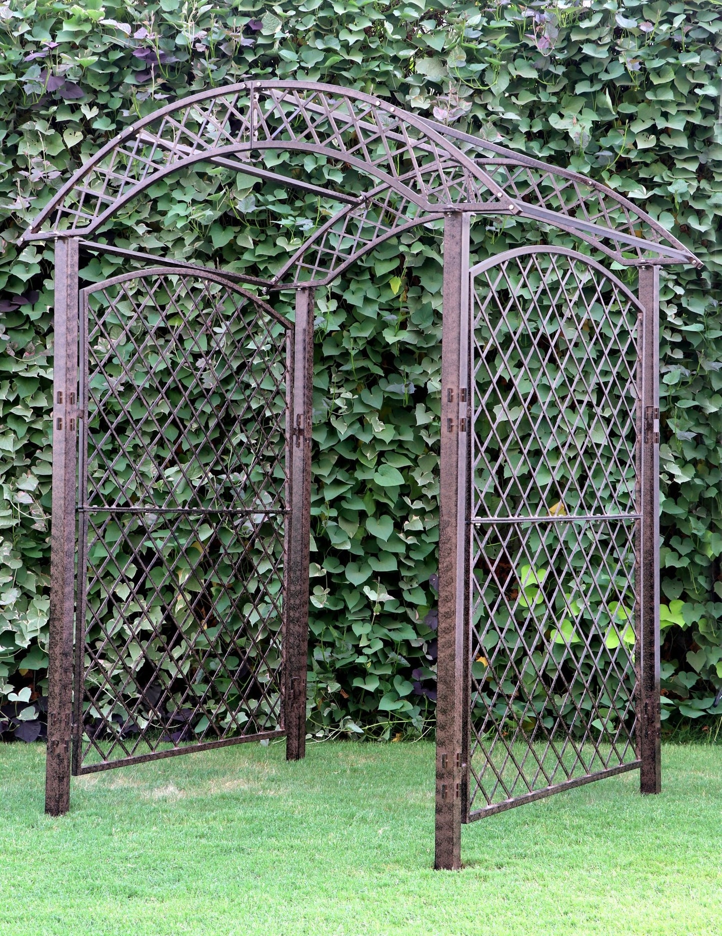 garden arbor trellis screen metal iron art yard backyard patio wedding event roses