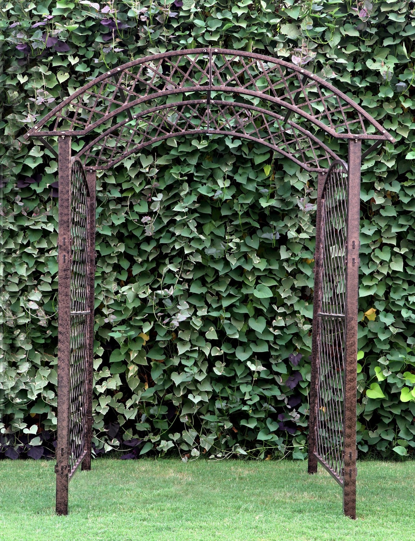 garden arbor trellis screen metal iron art yard backyard patio wedding event roses