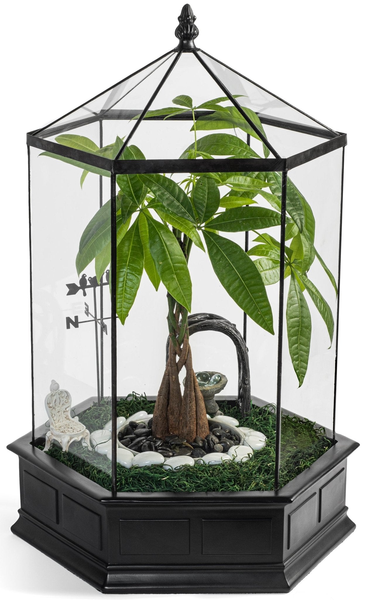 H Potter Six Sided Glass Terrarium Wardian Case Plant Container Large and Tall