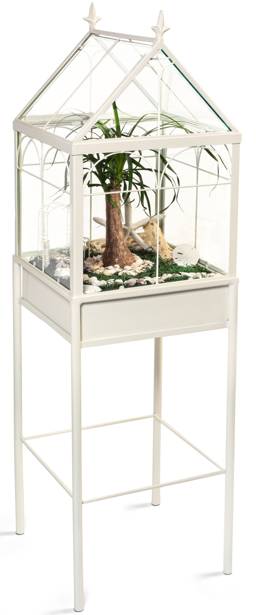 large terrarium wardian case  Glass Plant Container Tall Orchids large mother father grandmother christmas valentine mothers day wedding gift glasshouse