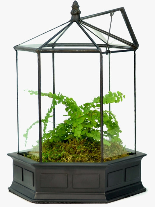 H Potter Terrarium Wardian Case Glass Plant Container Table Top Tall Orchids six sided geometric resin base