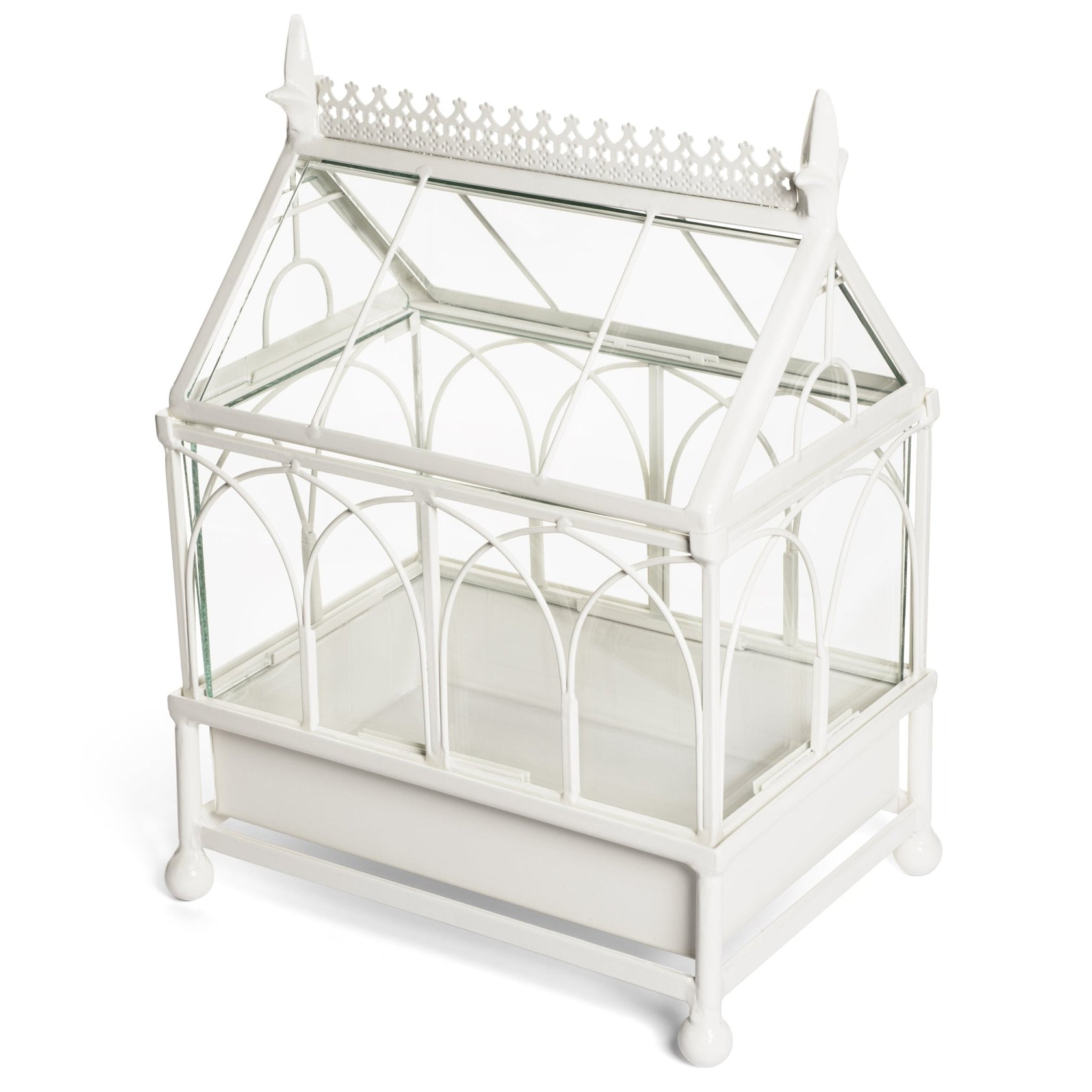 Terrarium H Potter Wardian Case