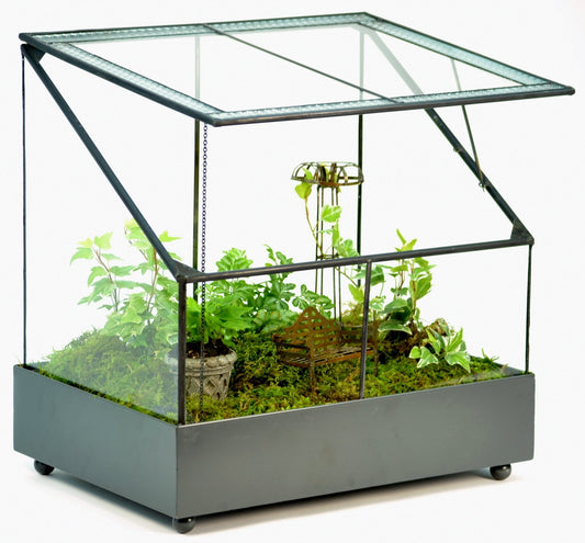 H Potter Terrarium Garden Display Glass with textured glass Wardian Case succulent orchid plant container planter mom