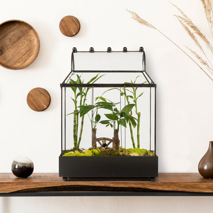 H Potter Wardian Case Terrarium For Sale with Curved Glass Roof Plant Planter Container Indoor Garden Mothers Day Gift