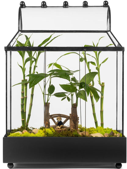 H Potter Wardian Case Terrarium For Sale with Curved Glass Roof Plant Planter Container Indoor Garden Mothers Day Gift