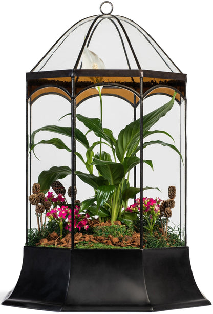 H Potter Eight Sided Terrarium Wardian Case with Curved Glass and Brown Accents Large