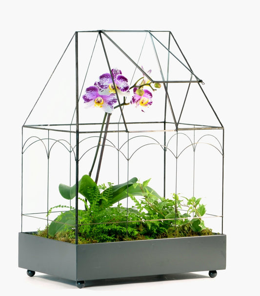 H Potter glass terrarium wardian case 