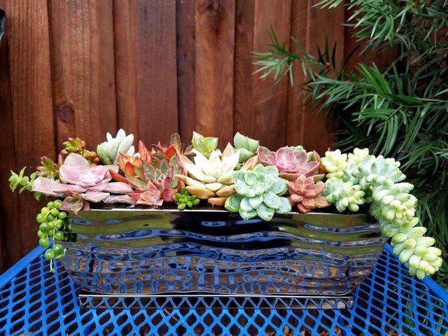 Garden Planters for Herbs Succulents Flowers
