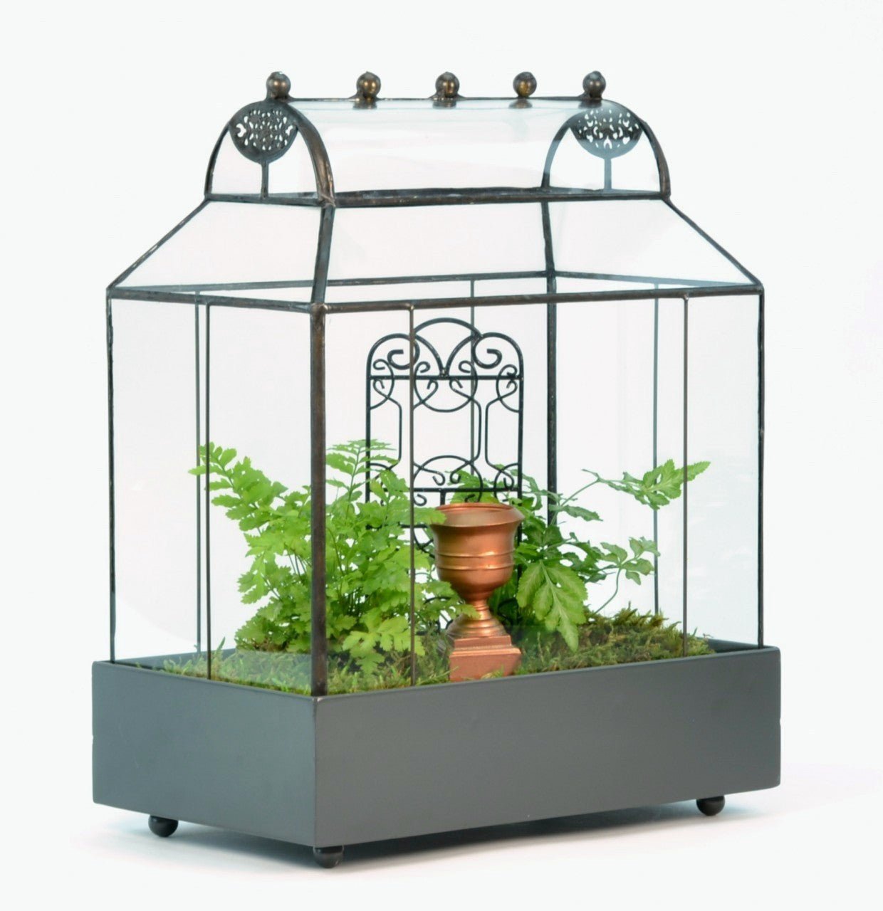 tabletop terrarium plants Table Top Barrel Roof Terrarium by H Potter