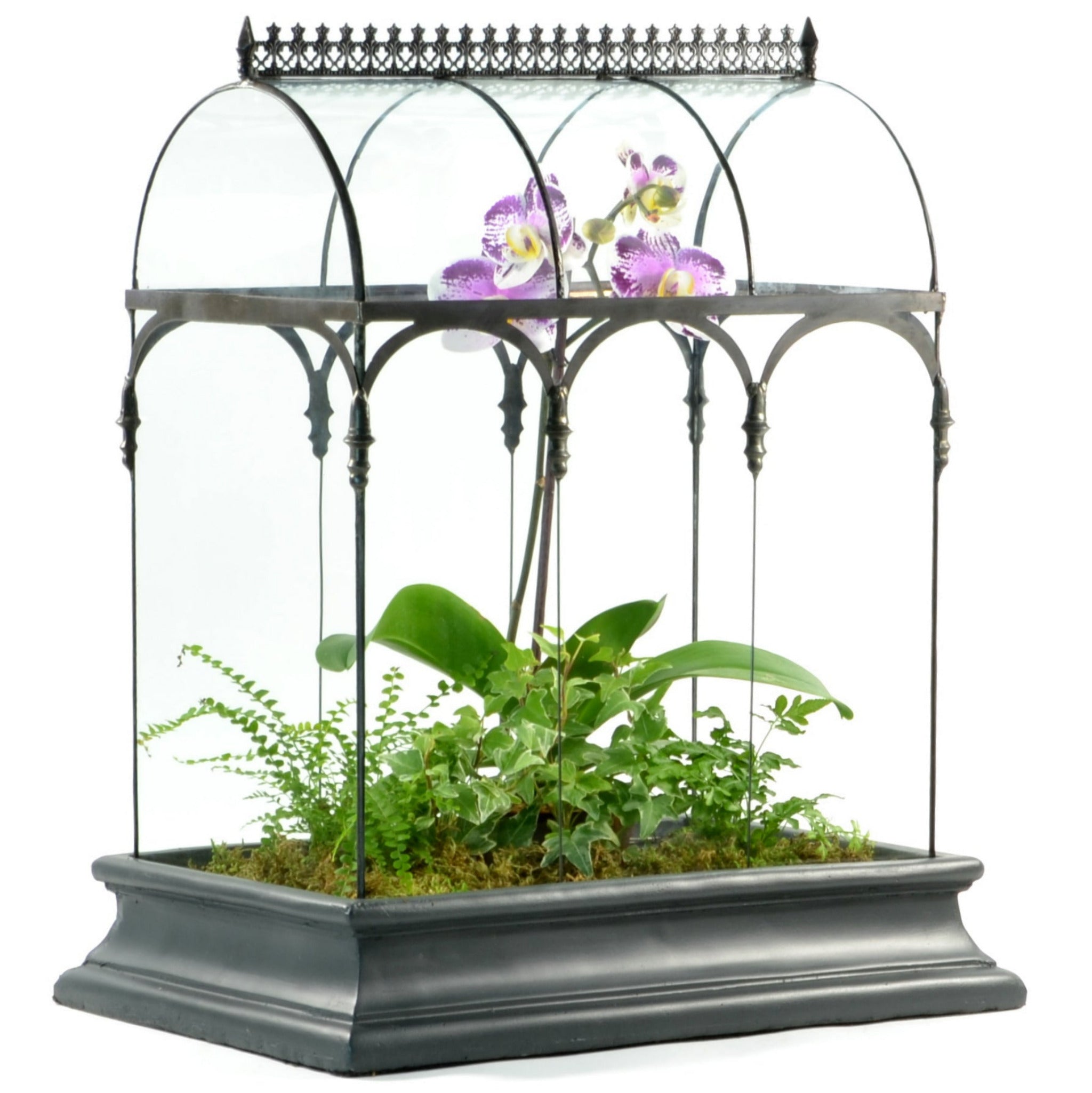 H Potter Wardian Case Terrarium - Thumbnail 4