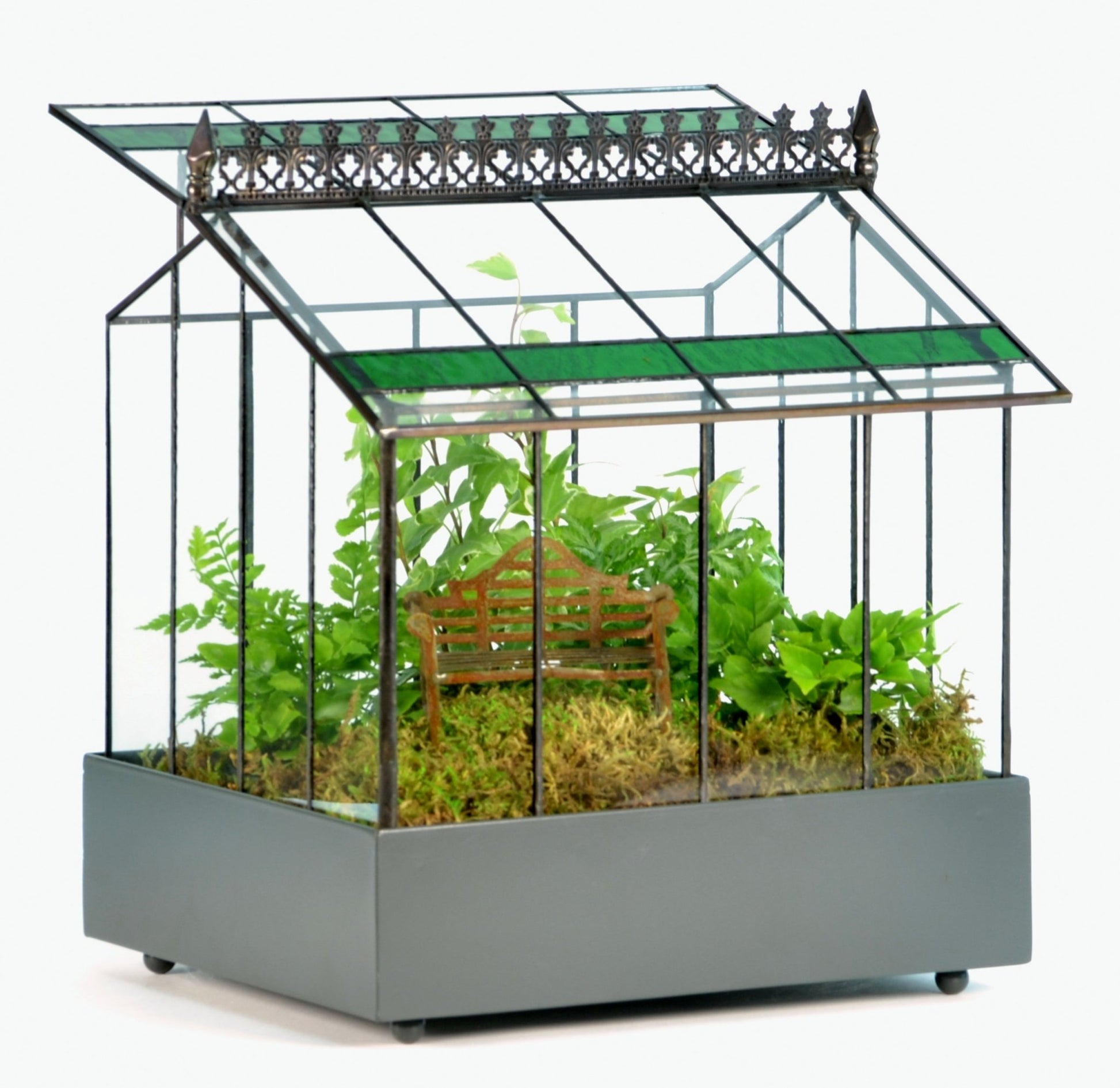 A classic H Potter glass terrarium Wardian case with a black powder-coated metal tray base and a hinged roof, planted with lush green ferns and a miniature park bench
