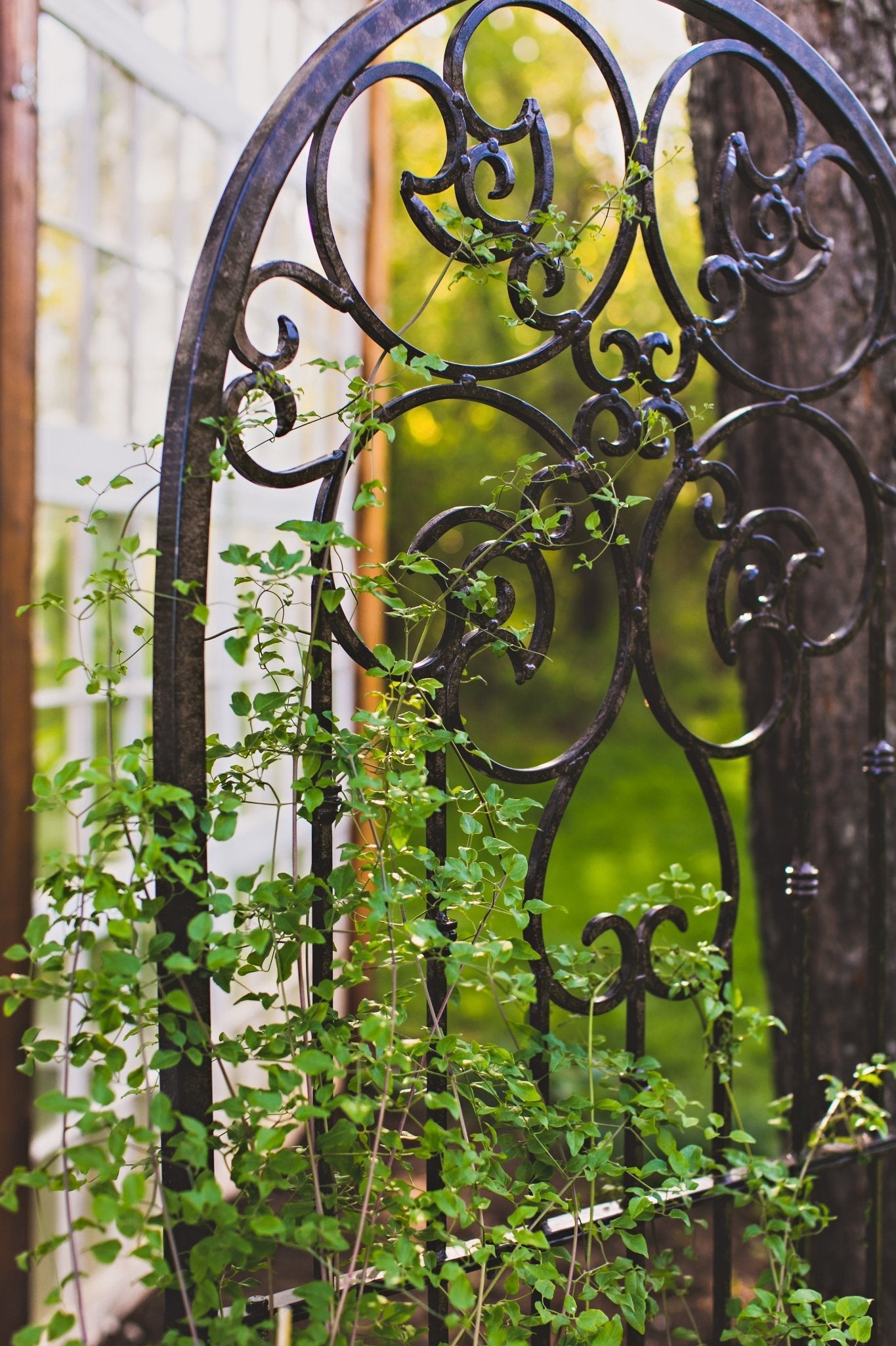 wrought iron plant trellis Heavy Scroll Garden Trellis | 6 Ft Tall Metal Trellis