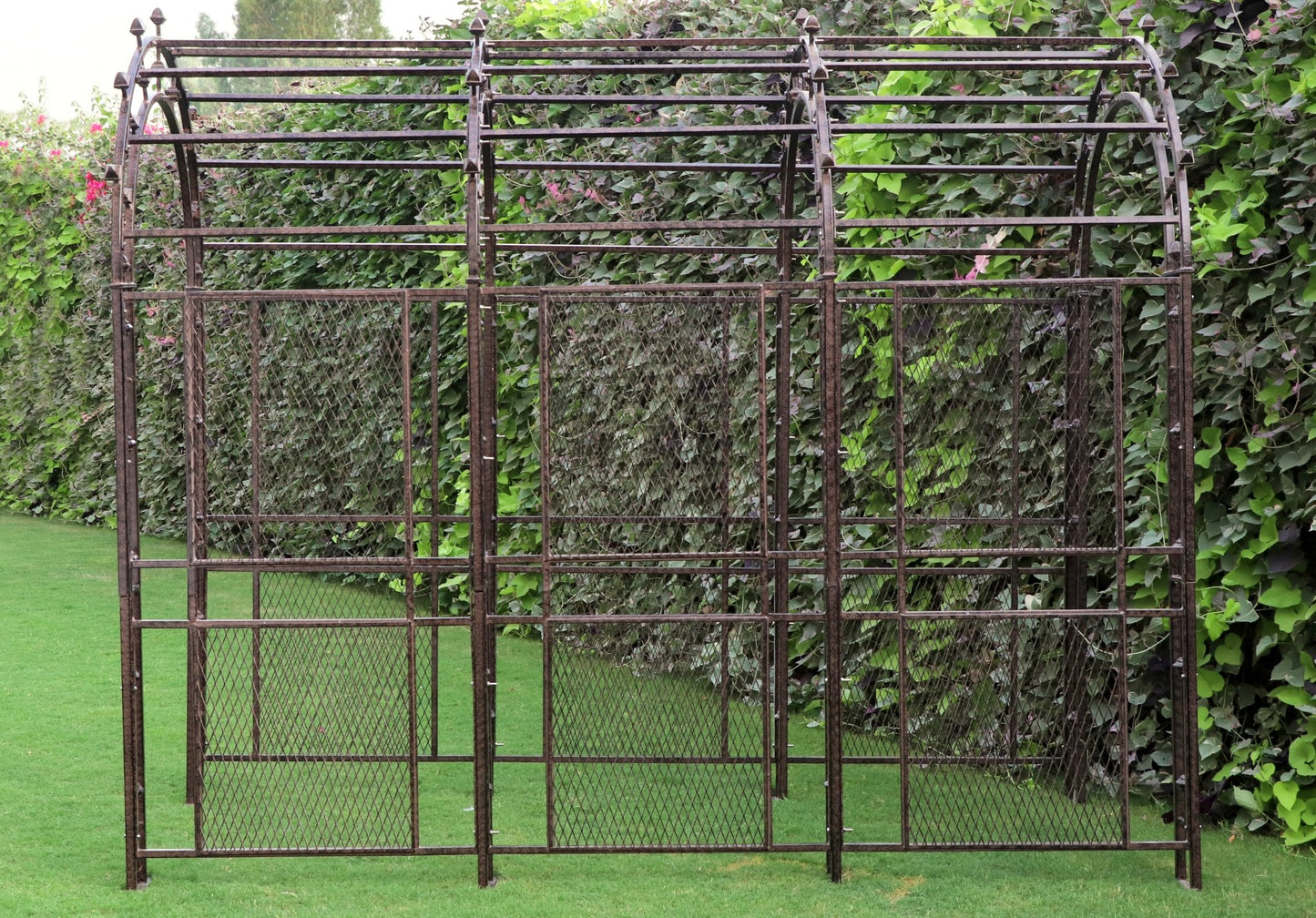 Side view of H Potter metal arbor tunnel showing frame depth and curved arches and length of arbor
