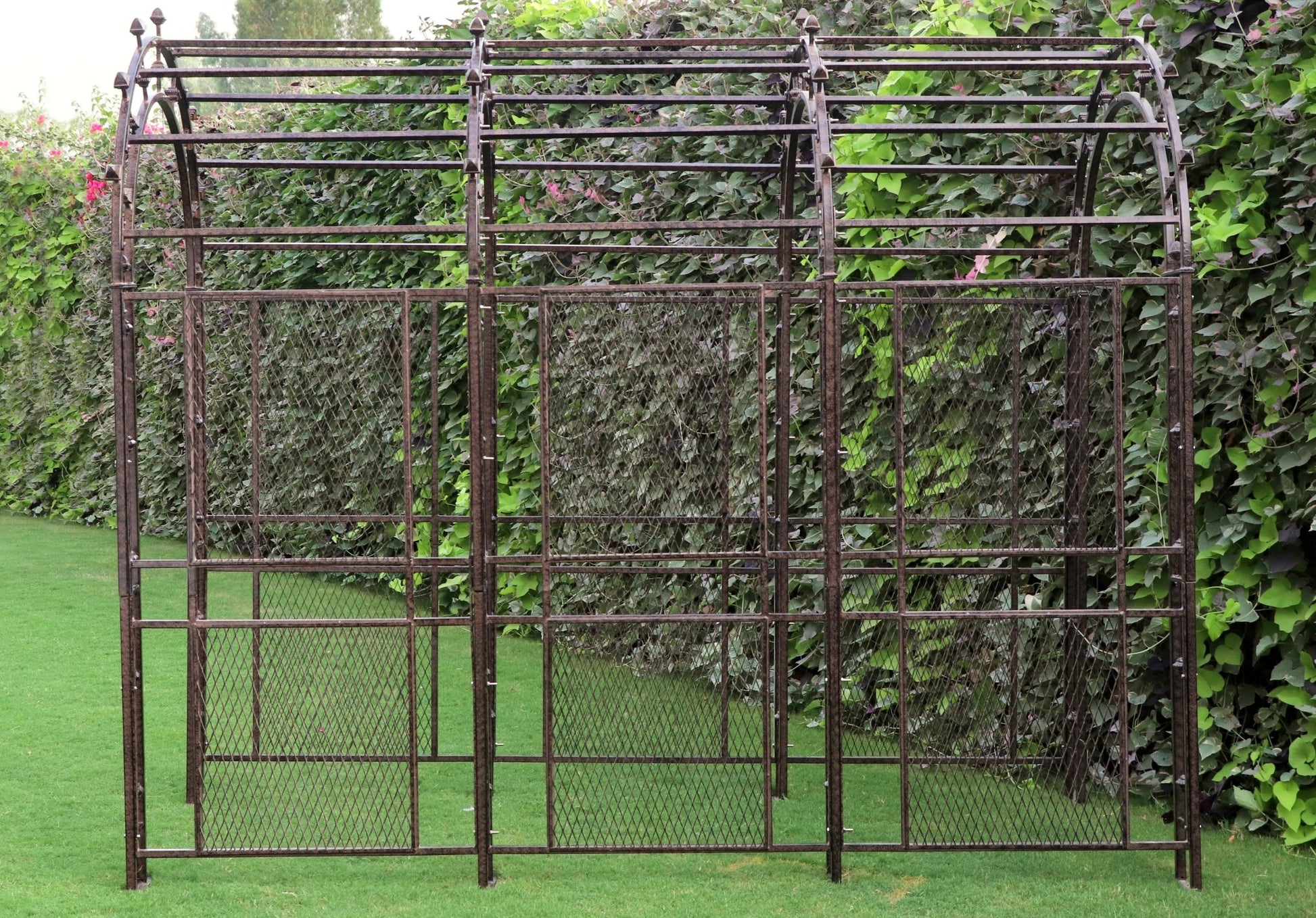 Side view of H Potter metal arbor tunnel showing frame depth and curved arches and length of arbor