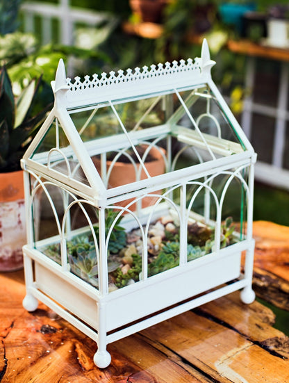 H Potter Terrarium Wardian Case Metal Tabletop orchid case gift for mom mothers day valentine christmas metal and glass