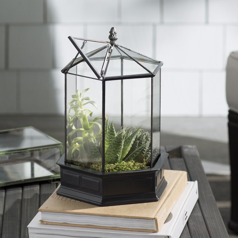 H Potter Terrarium Wardian Case Glass Plant Container Table Top Tall Orchids six sided geometric resin base