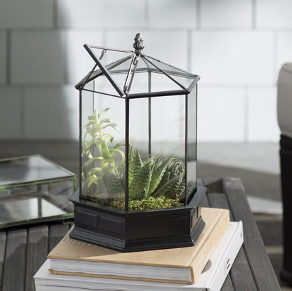 H Potter Terrarium Wardian Case Glass Plant Container Table Top Tall Orchids six sided geometric resin base